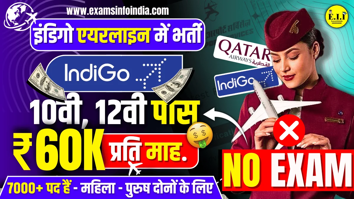 Indigo Airlines Bharti 2024