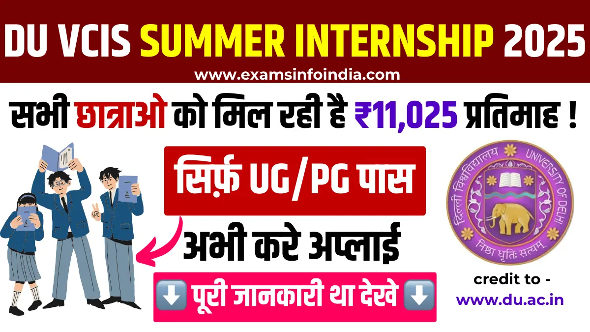 DU VCIS Summer Internship 2025